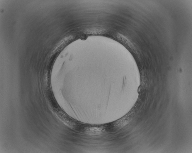 X0000062880163200602101725