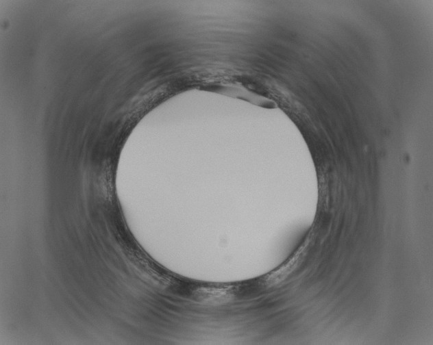 X0000062880170200602101725