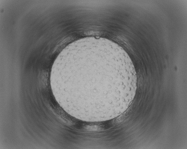X0000062880171200602101725