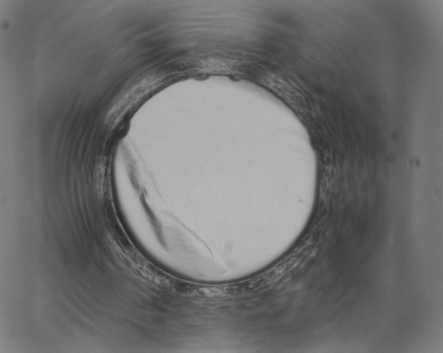X0000062880194200602101725