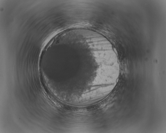 X0000062880196200602101725