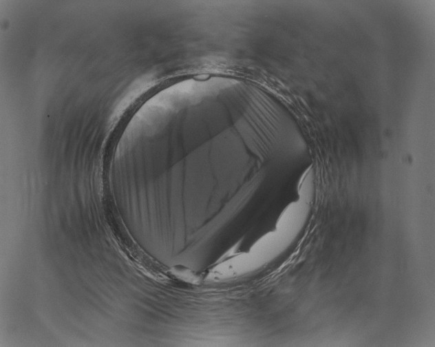 X0000062880200200602101725