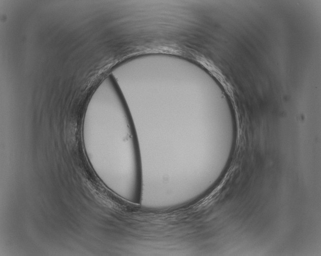 X0000062880201200602101725