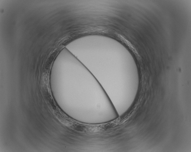 X0000062880209200602101725