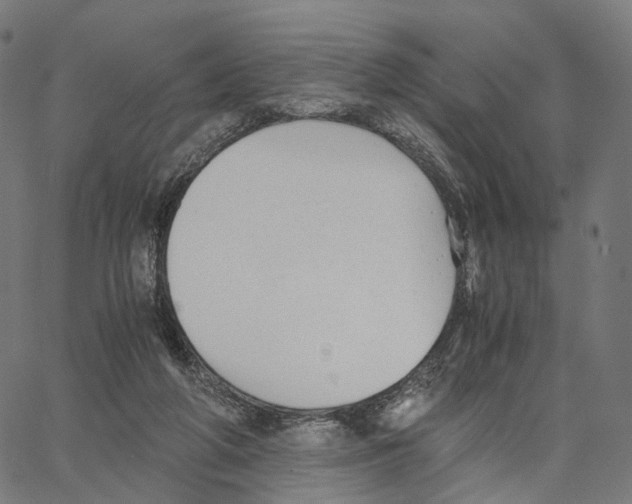 X0000062880210200602101725