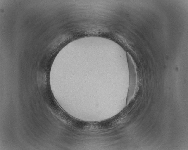 X0000062880211200602101724