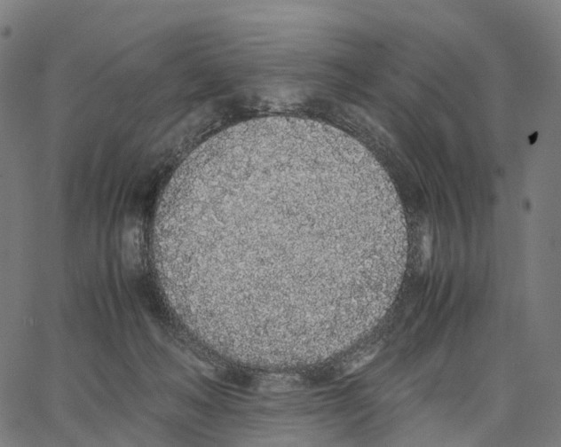 X0000062880222200602101724