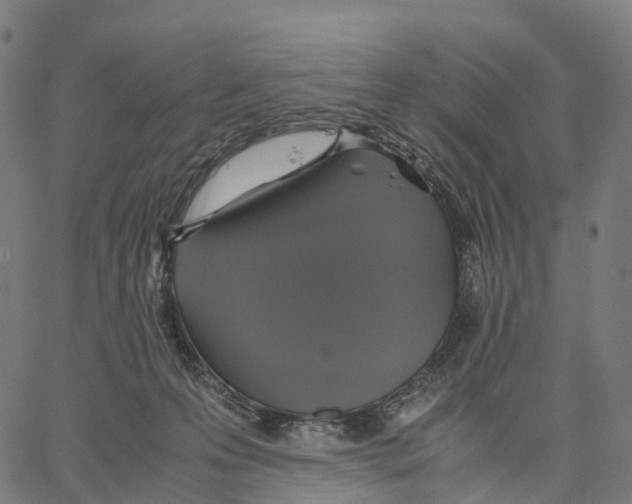 X0000062880223200602101724