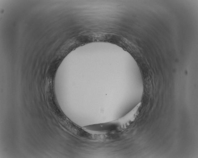 X0000062880225200602101724