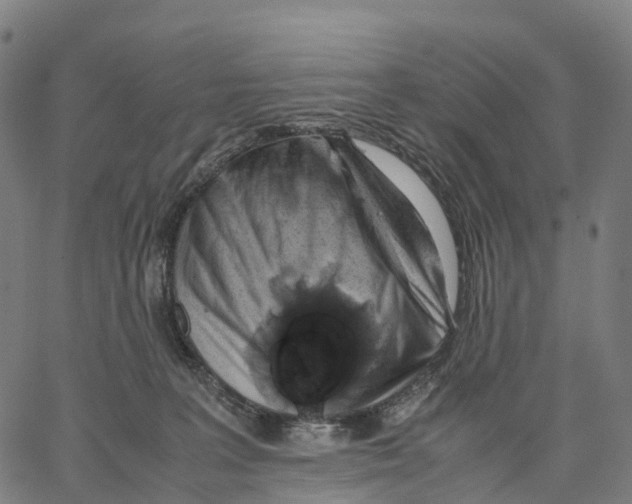 X0000062880227200602101724