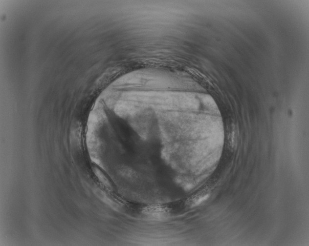 X0000062880231200602101724