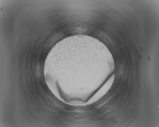 X0000062880236200602101724
