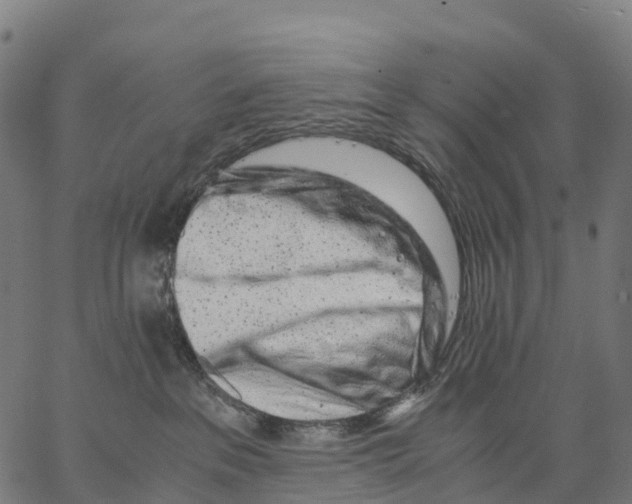 X0000062880237200602101724