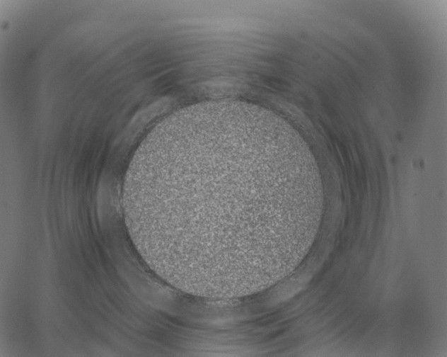 X0000062880240200602101724