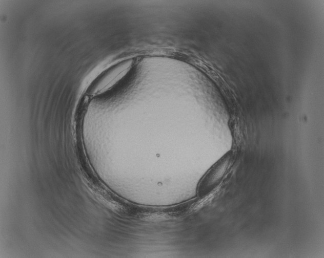 X0000062880246200602101723