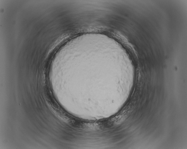 X0000062880250200602101723