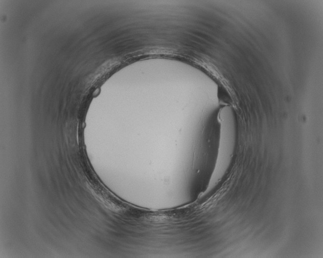 X0000062880253200602101723