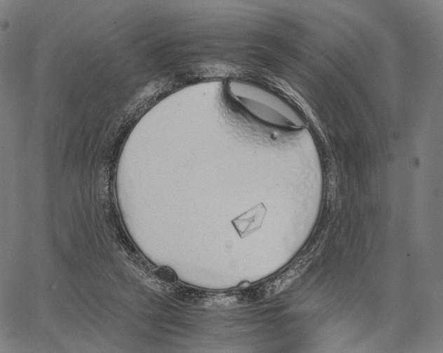 X0000062880257200602101724