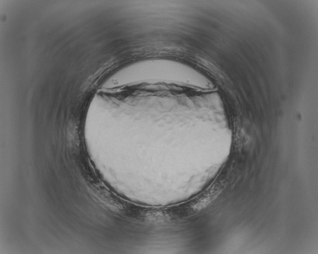 X0000062880258200602101724
