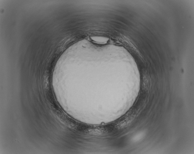 X0000062880259200602101724