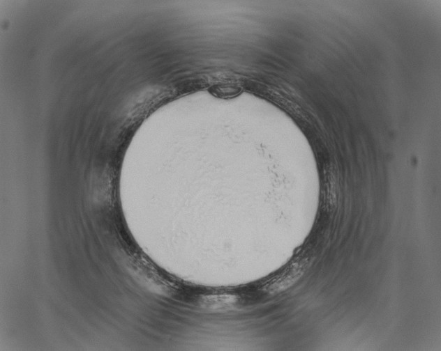 X0000062880266200602101724