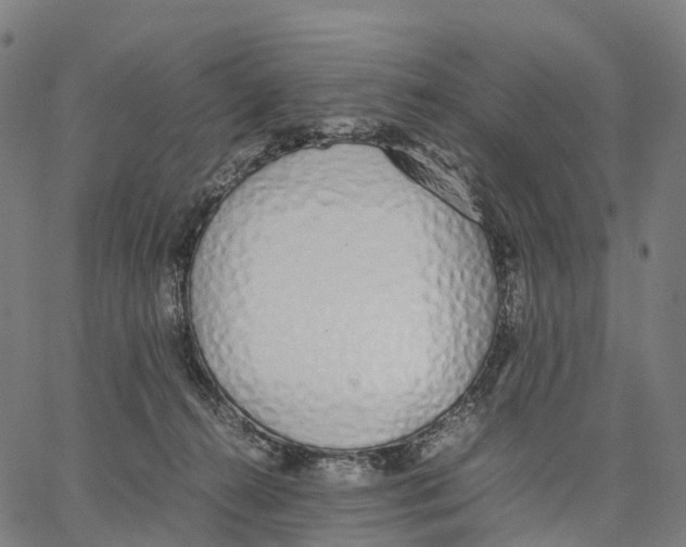 X0000062880272200602101724