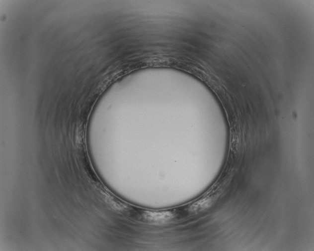 X0000062880277200602101724