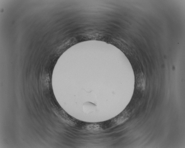 X0000062880279200602101724