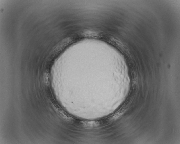 X0000062880281200602101724