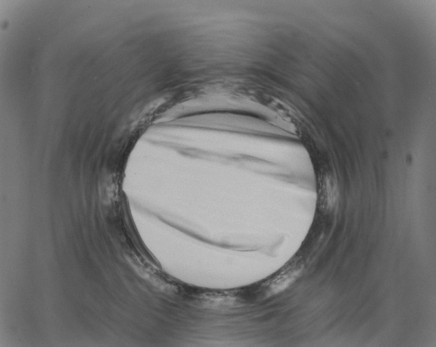 X0000062880284200602101724