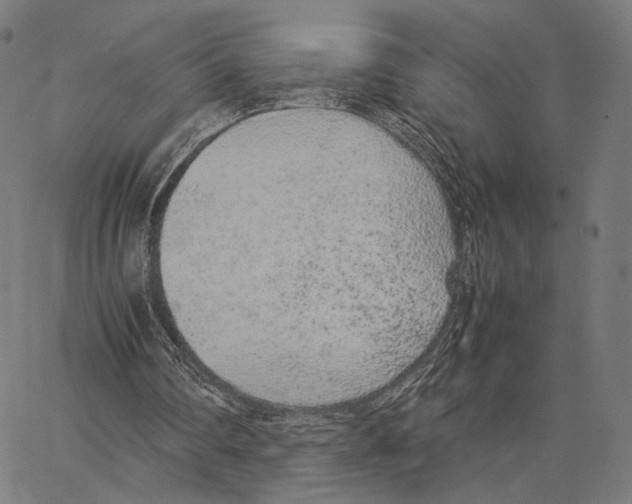 X0000062880290200602101723