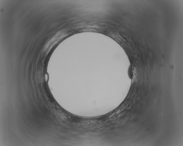X0000062880291200602101723