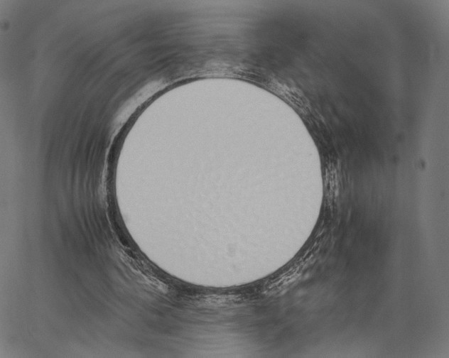 X0000062880292200602101723