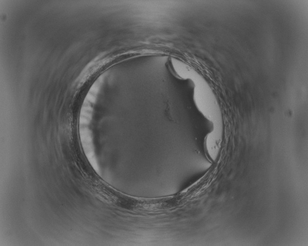 X0000062880295200602101723
