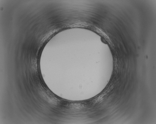 X0000062880298200602101723