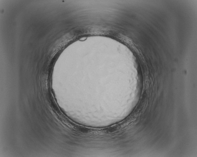 X0000062880299200602101723