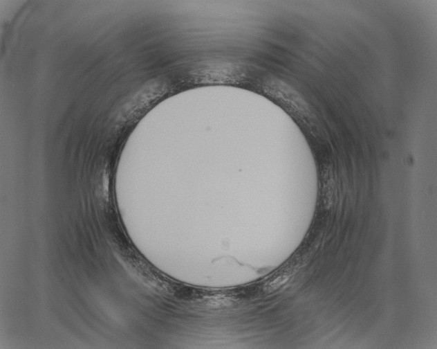 X0000062880310200602101723