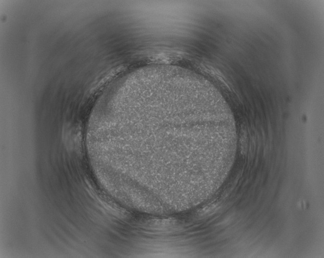 X0000062880314200602101723