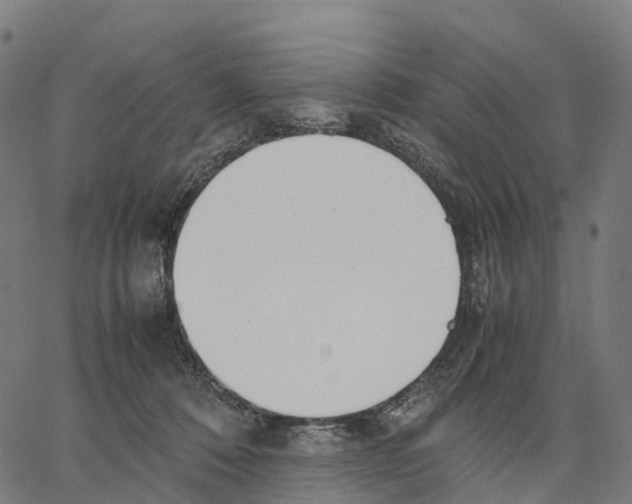 X0000062880320200602101723