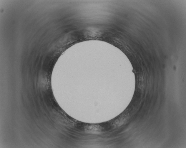 X0000062880324200602101723