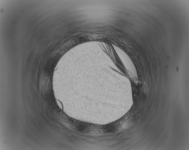 X0000062880327200602101723