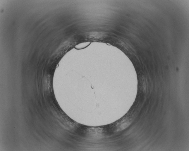 X0000062880328200602101723