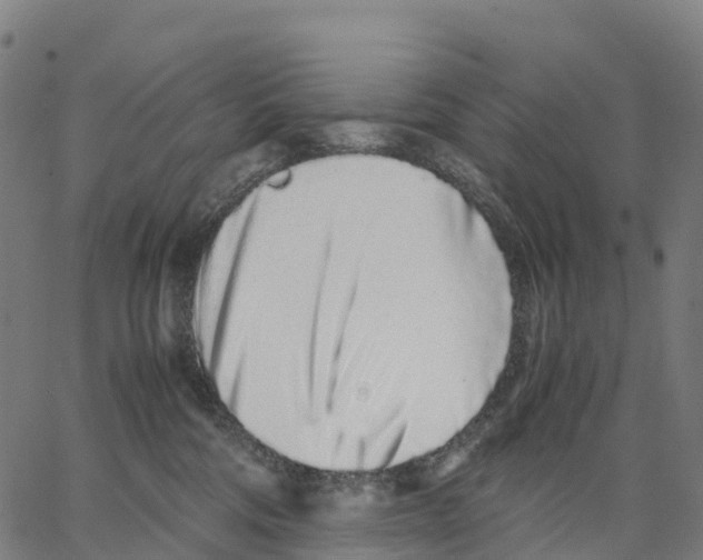 X0000062880330200602101723