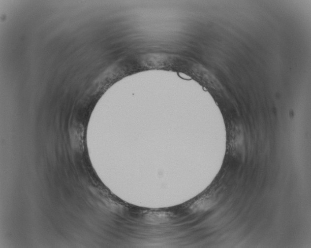 X0000062880332200602101723