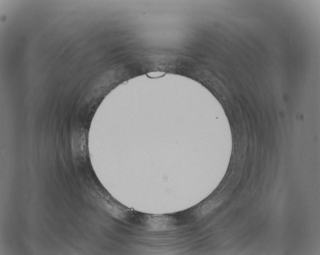 X0000062880336200602101722