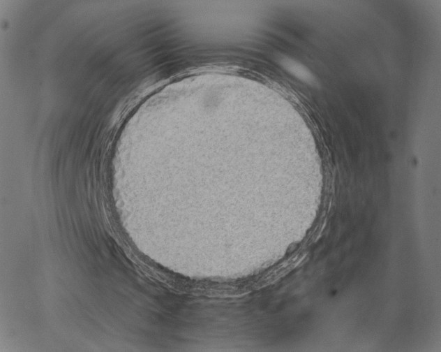 X0000062880337200602101722