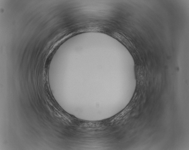 X0000062880338200602101722
