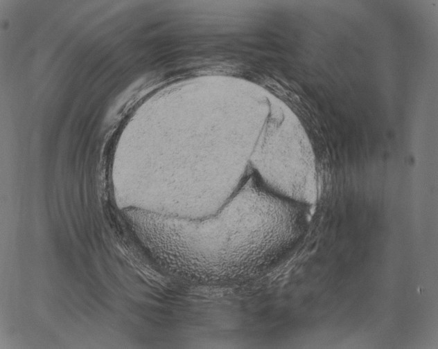 X0000062880339200602101722