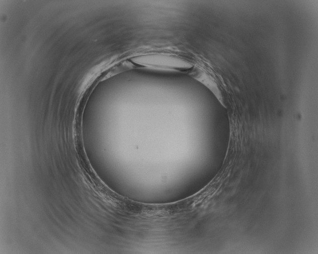 X0000062880340200602101722