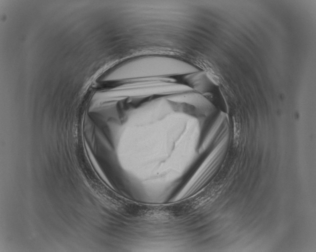 X0000062880348200602101722